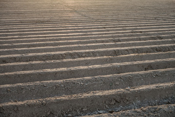 Vorbereitetes Ackerland zum Karotten Anbau