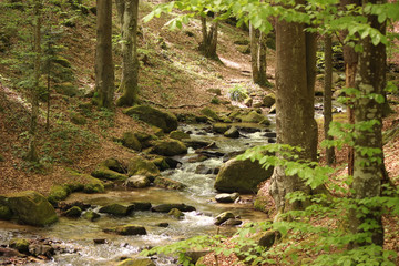Mountain stream
