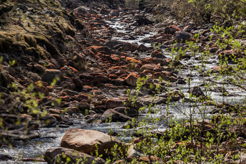 Ruscello di montagna