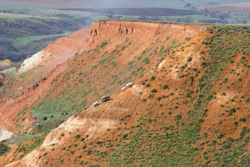 Flock of sheep grazing on the slope of a large clay cliff