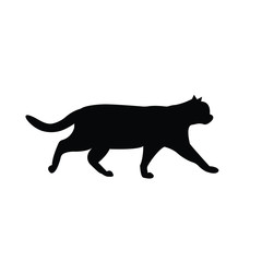 vector walking black cat silhouette isolated on white