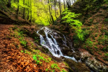 Fotobehang Bos rivier Mountain waterfall near the town of Teteven, Balkan Mountains, Bulgaria  © Petar