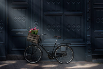 Bicycle with tulips in Amsterdam