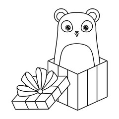 panda bear animal in gift box