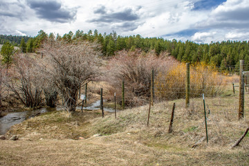 Fences in the Wilderness