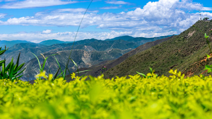 Vista del cañon del chicamocha
