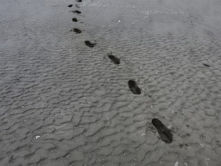 Footprints in soft sand on a beach. 