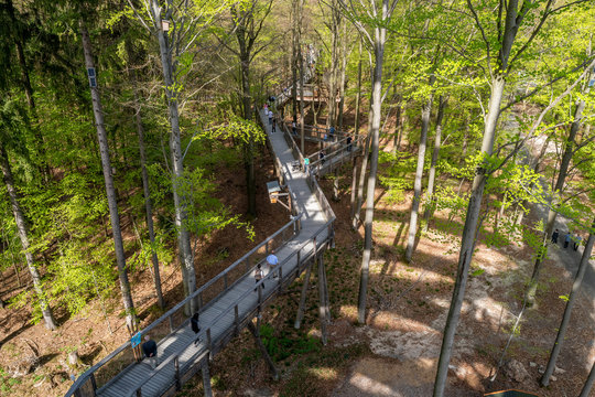Steigerwald Baumpfad Ebrach