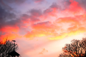 Obraz na płótnie Canvas Pink sunset sky.