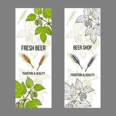 Beer and brewery labels, design elements with hops and barley