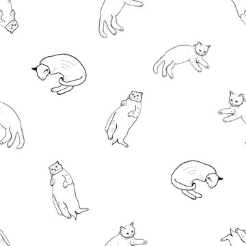 Hand drawn seamless pattern with cats monochrome pattern