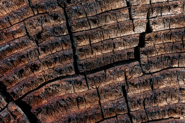 Wood with cracks.