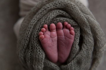 newborn child. baby legs. the legs of the newborn. legs on green background. child's feet