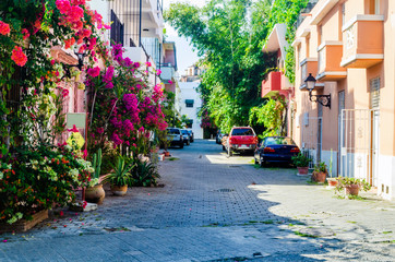 alley of Regina, typical neighborhood of the colonial zone of Santo Domingo - obrazy, fototapety, plakaty
