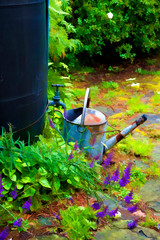 Photo art, Galvanised watering can & water butt
