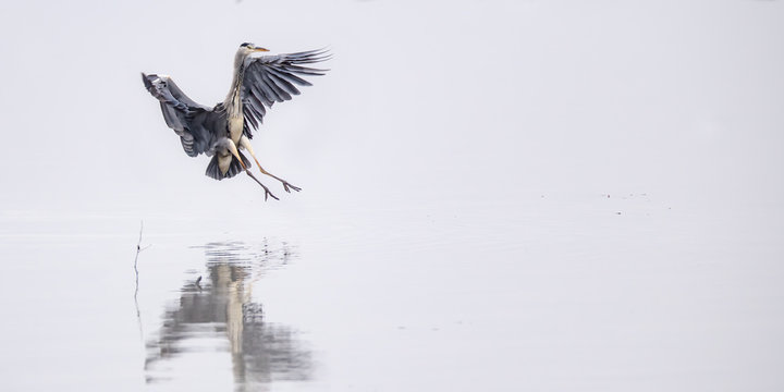 Landing on Chiemsee