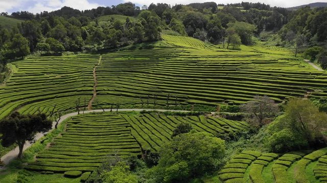 Azoren - Sao MIguel aus der Luft: Furnas, Povoacao, Furnas See und Landschaften