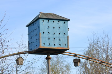 birdhouses in the spring