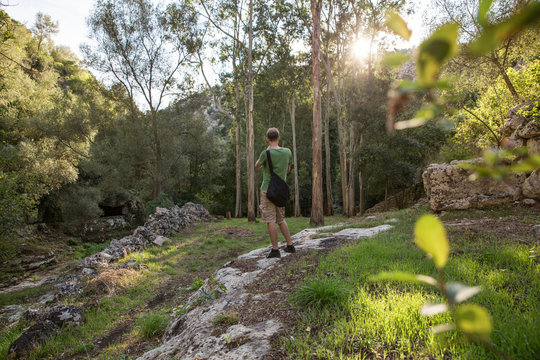Sicily, Syracuse Province, Noto Antica, Cava del Carosello, hiker photographing gum trees