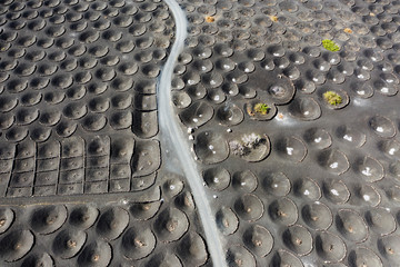 Spain, Canary Islands, Lanzarote, wine growing area La Geria at Yaiza, vine stocks in funnel shaped hollows, aerial view