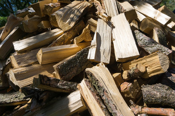 Brennholz- Haufen im Garten