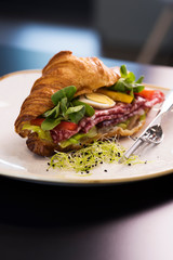 Reform croissant sandwich on a tendy plate. Gourmet conception.
