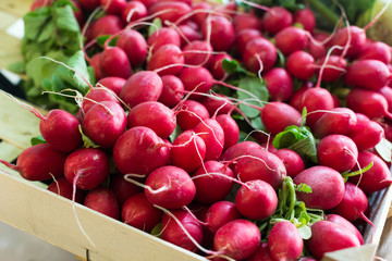 radish in wicker baskets on the counter of market