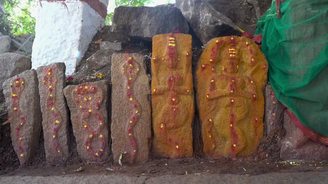 Snake temple in india outdoors