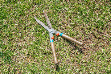 Obraz premium Gardening Tools on grass green background.