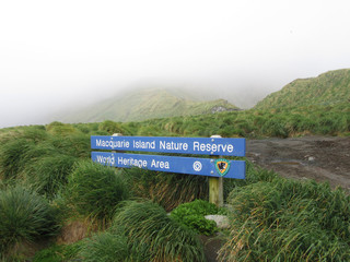 Entrance sign on Macquarie island, a remote island in the subantarctic region of Australia in the southern pacific ocean.