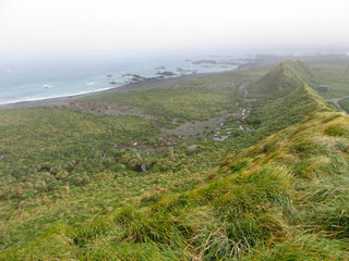 Macquarie island, an island in the subantarctic region of Australia in the southern pacific ocean.