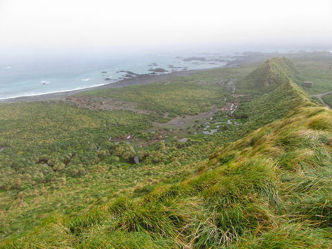Macquarie island, an island in the subantarctic region of Australia in the southern pacific ocean.