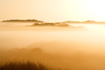 Dunes near Katwijk, Netherlands, in morning fog with beautiful golden light