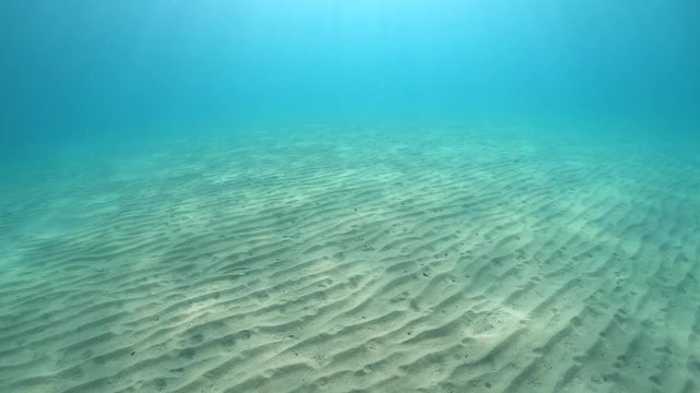 Underwater moving above a sandy seabed in Mediterranean sea, natural scene