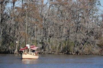 The view at Fairview-Riverside State Park, in Madisonville, Louisiana, USA