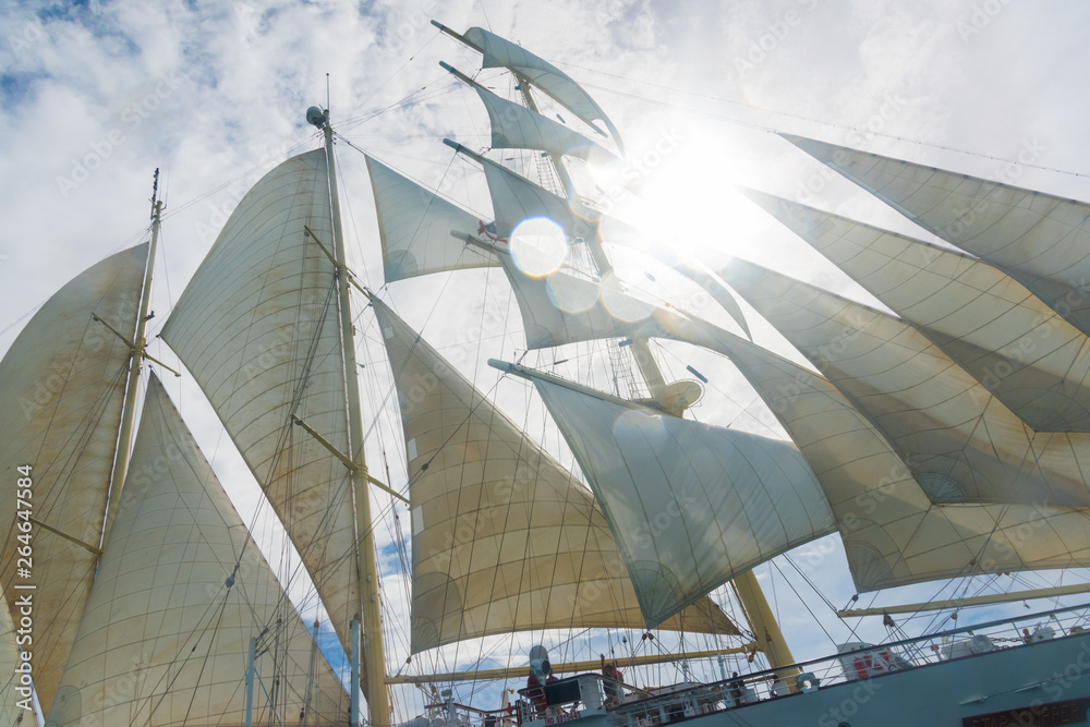 Wall mural open sails of the clipper boat