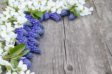 A bouquet of blue bells on old, wooden boards, with white flowers of cherry, bluebells. View from above.