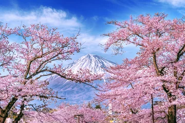 Fotobehang Fuji berg en kersenbloesem in het voorjaar, Japan. © tawatchai1990