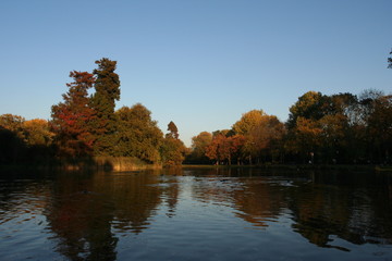 Fototapeta premium City park Vondelpark Amsterdam, Netherlands