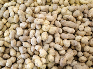 Raw fruits of fresh peanuts in the market, groundnuts.