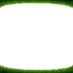 Green Grass Frame White Background