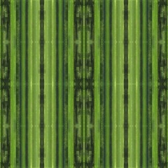 Fototapeta premium light green, green, olive green brushed background. multicolor painted with hand drawn vintage details. seamless pattern for wallpaper, design concept, web, presentations, prints or texture.