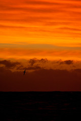 Stunning red colored sunset in the Southern Atlantic Ocean