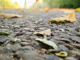 City center park Vondelpark in Amsterdam, Netherlands