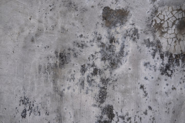Grey concrete wall, floor texture