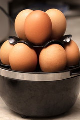 Dozen eggs being hard boiled in an egg cooker