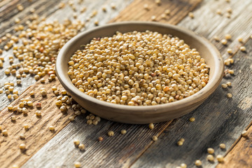 Raw Organic Sorghum Grain