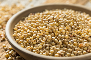 Raw Organic Sorghum Grain