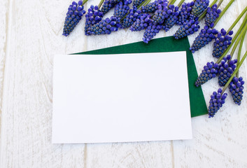 A bouquet of blue flowers Muscari on white wooden boards, small bells. View from above.