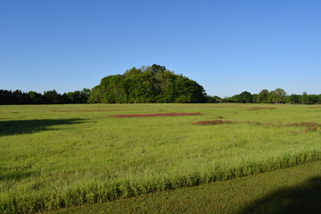 Ingomar Mounds and field in Mississippi